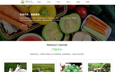 成都农产品电商网站建设的发展趋势 迈向智能化、品牌化与体验化