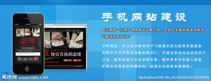 赋能未来 从企业网站到软件创新的一站式解决方案