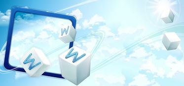 从零到一 构建高效能网站的完整指南